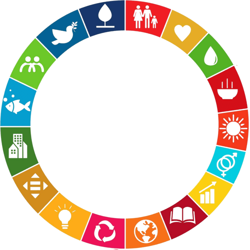 sdg wheel